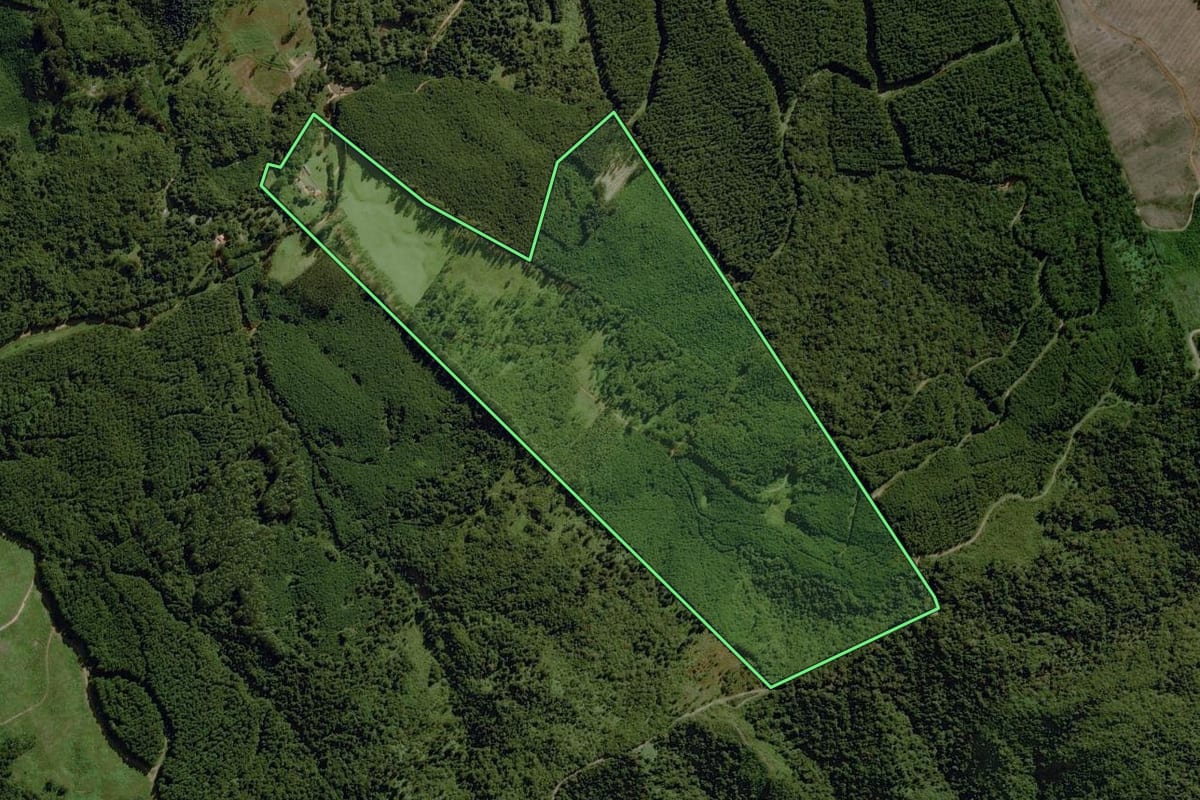Imagem de satélite do imóvel rural em Doutor Ulysses (PR), com o contorno declarado no CAR desenhado por cima.