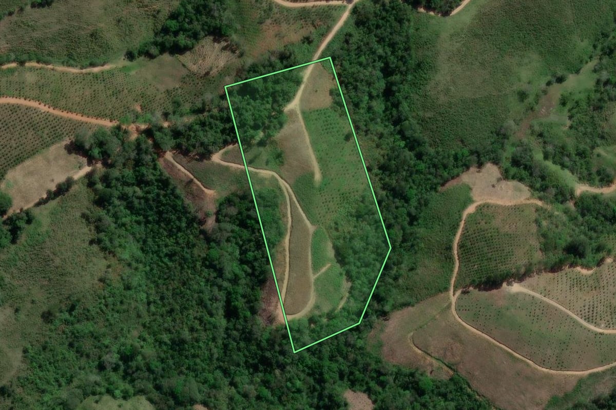 Imagem de satélite do imóvel rural em Doutor Ulysses (PR), com o contorno declarado no CAR desenhado por cima.