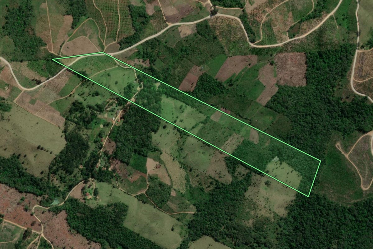 Imagem de satélite do imóvel rural em Doutor Ulysses (PR), com o contorno declarado no CAR desenhado por cima.