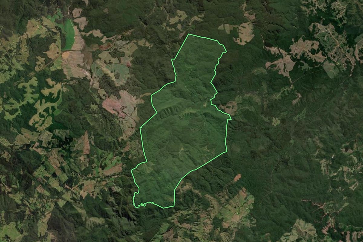 Imagem de satélite do imóvel rural em Doutor Ulysses (PR), com o contorno declarado no CAR desenhado por cima.