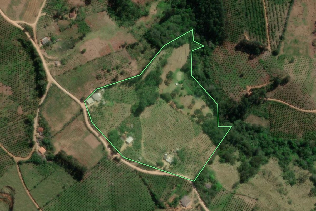 Imagem de satélite do imóvel rural em Doutor Ulysses (PR), com o contorno declarado no CAR desenhado por cima.