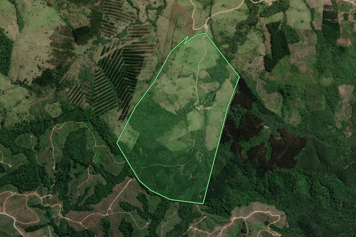 Imagem de satélite do imóvel rural em Doutor Ulysses (PR), com o contorno declarado no CAR desenhado por cima.