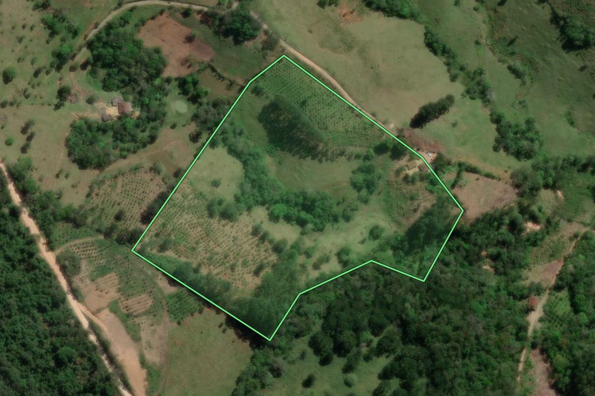 Imagem de satélite do imóvel rural em Doutor Ulysses (PR), com o contorno declarado no CAR desenhado por cima.
