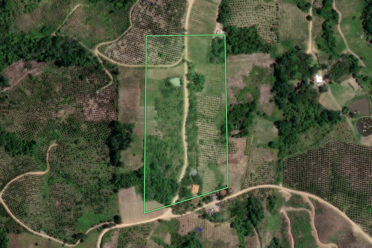 Imagem de satélite do imóvel rural em Doutor Ulysses (PR), com o contorno declarado no CAR desenhado por cima.