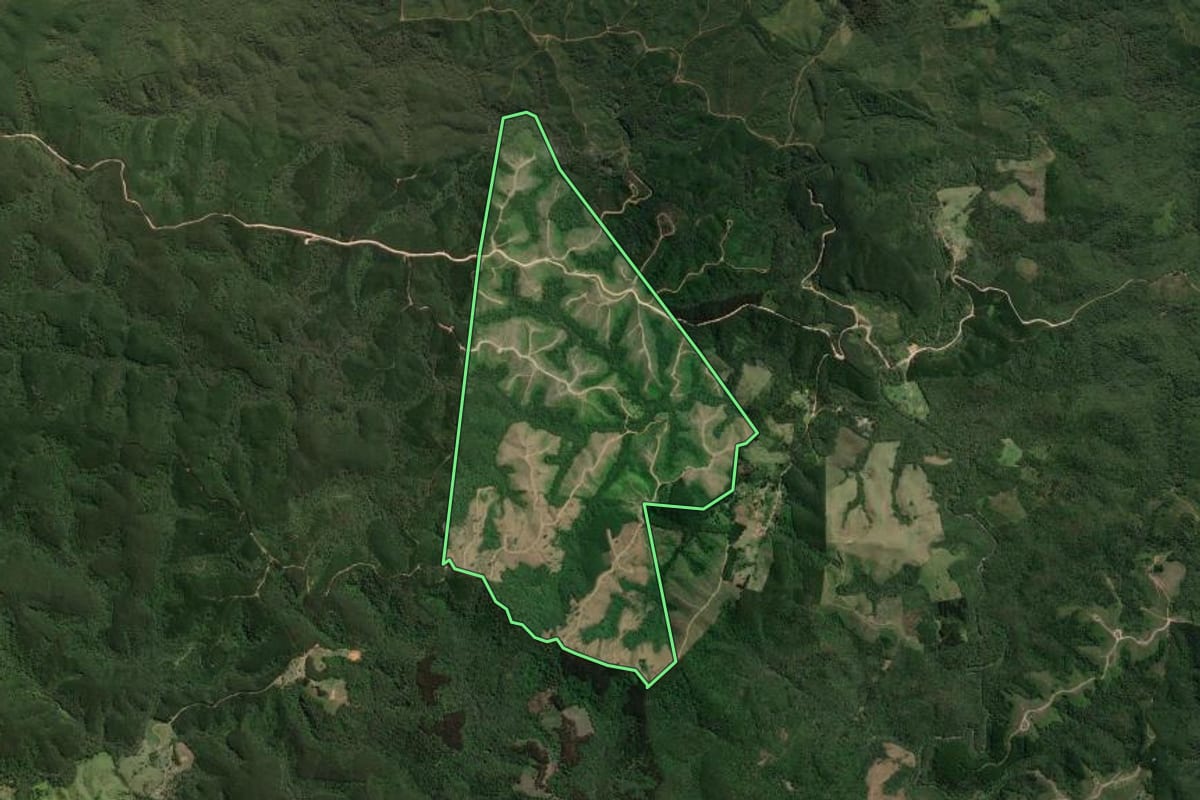 Imagem de satélite do imóvel rural em Doutor Ulysses (PR), com o contorno declarado no CAR desenhado por cima.