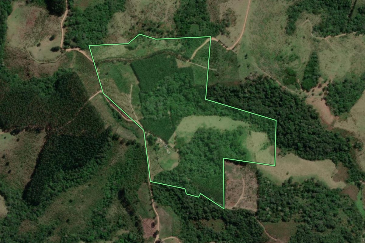 Imagem de satélite do imóvel rural em Doutor Ulysses (PR), com o contorno declarado no CAR desenhado por cima.
