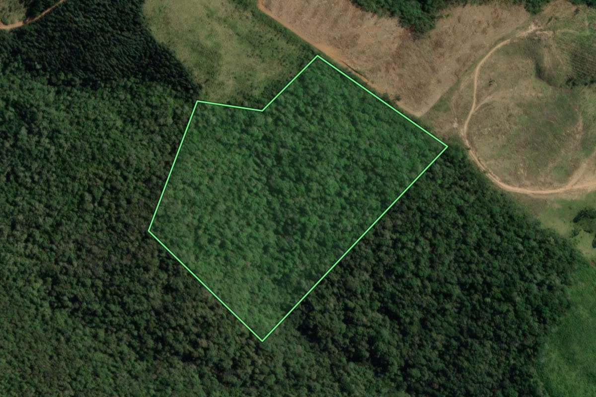 Imagem de satélite do imóvel rural em Doutor Ulysses (PR), com o contorno declarado no CAR desenhado por cima.