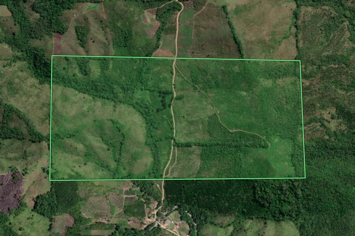 Imagem de satélite do imóvel rural em Doutor Ulysses (PR), com o contorno declarado no CAR desenhado por cima.