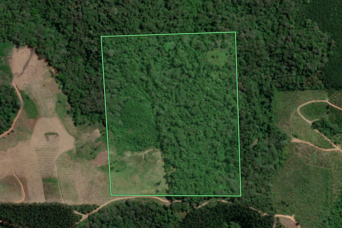 Imagem de satélite do imóvel rural em Doutor Ulysses (PR), com o contorno declarado no CAR desenhado por cima.