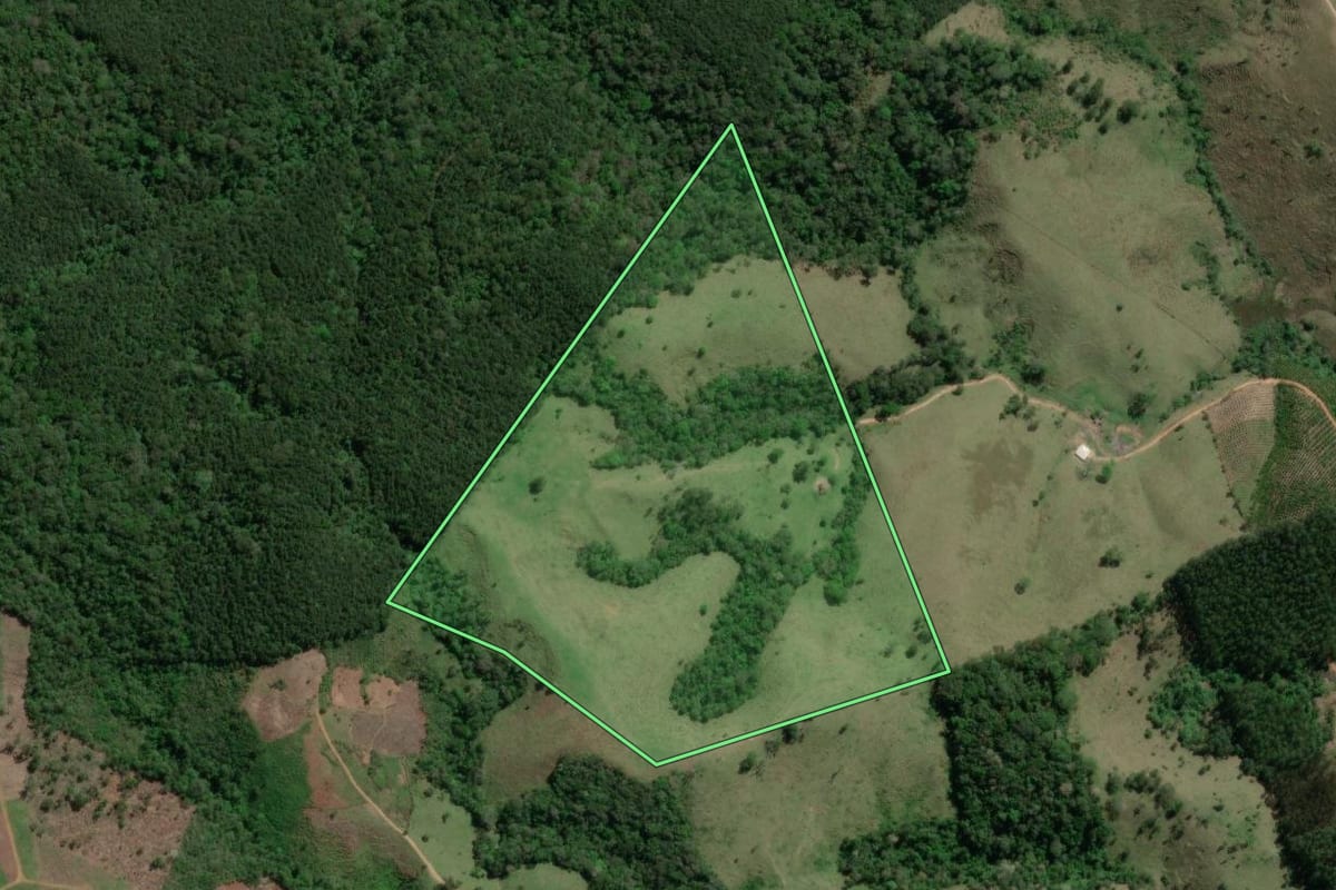 Imagem de satélite do imóvel rural em Doutor Ulysses (PR), com o contorno declarado no CAR desenhado por cima.