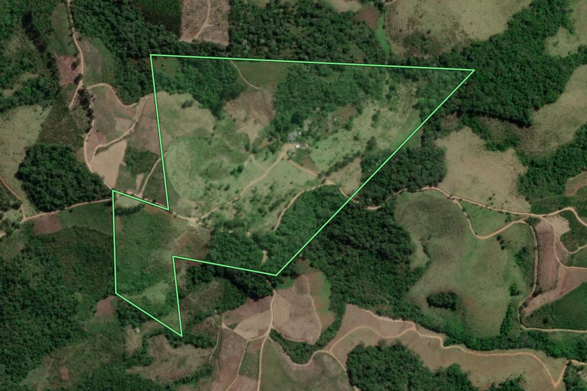 Imagem de satélite do imóvel rural em Doutor Ulysses (PR), com o contorno declarado no CAR desenhado por cima.