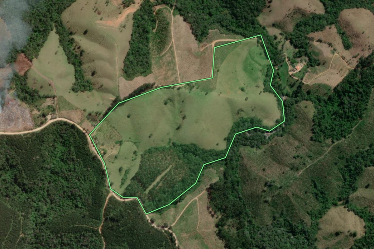 Imagem de satélite do imóvel rural em Doutor Ulysses (PR), com o contorno declarado no CAR desenhado por cima.