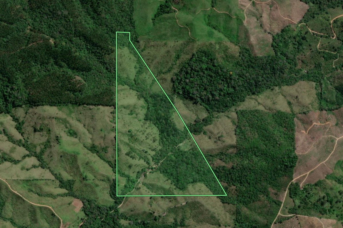 Imagem de satélite do imóvel rural em Doutor Ulysses (PR), com o contorno declarado no CAR desenhado por cima.