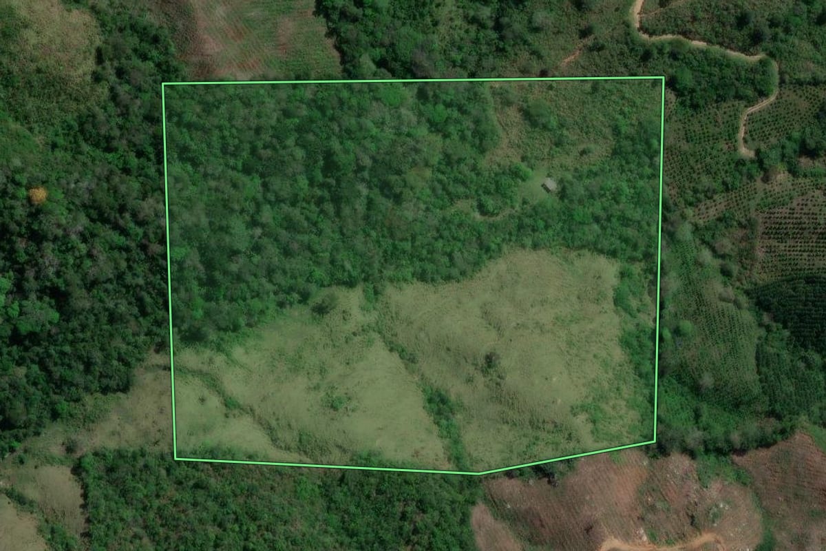 Imagem de satélite do imóvel rural em Doutor Ulysses (PR), com o contorno declarado no CAR desenhado por cima.