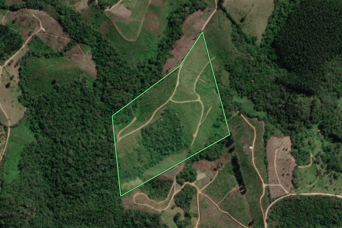 Imagem de satélite do imóvel rural em Doutor Ulysses (PR), com o contorno declarado no CAR desenhado por cima.