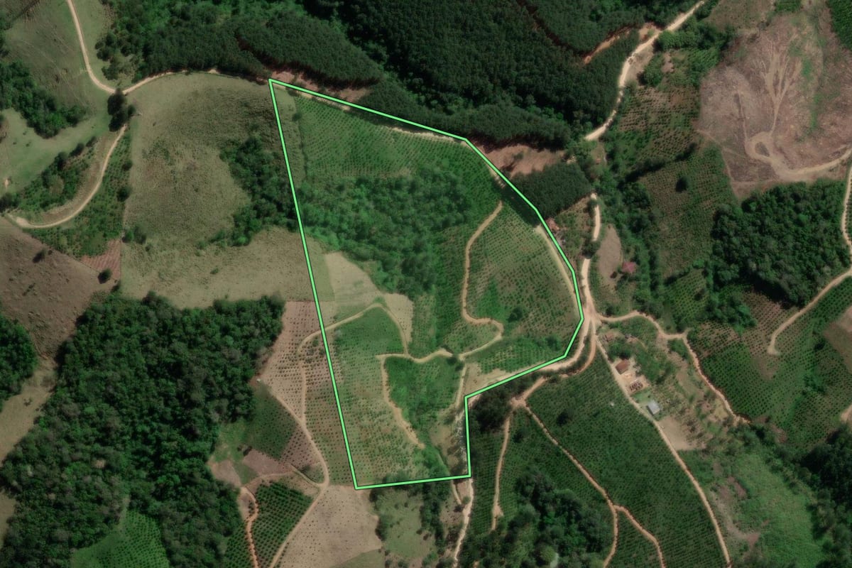 Imagem de satélite do imóvel rural em Doutor Ulysses (PR), com o contorno declarado no CAR desenhado por cima.