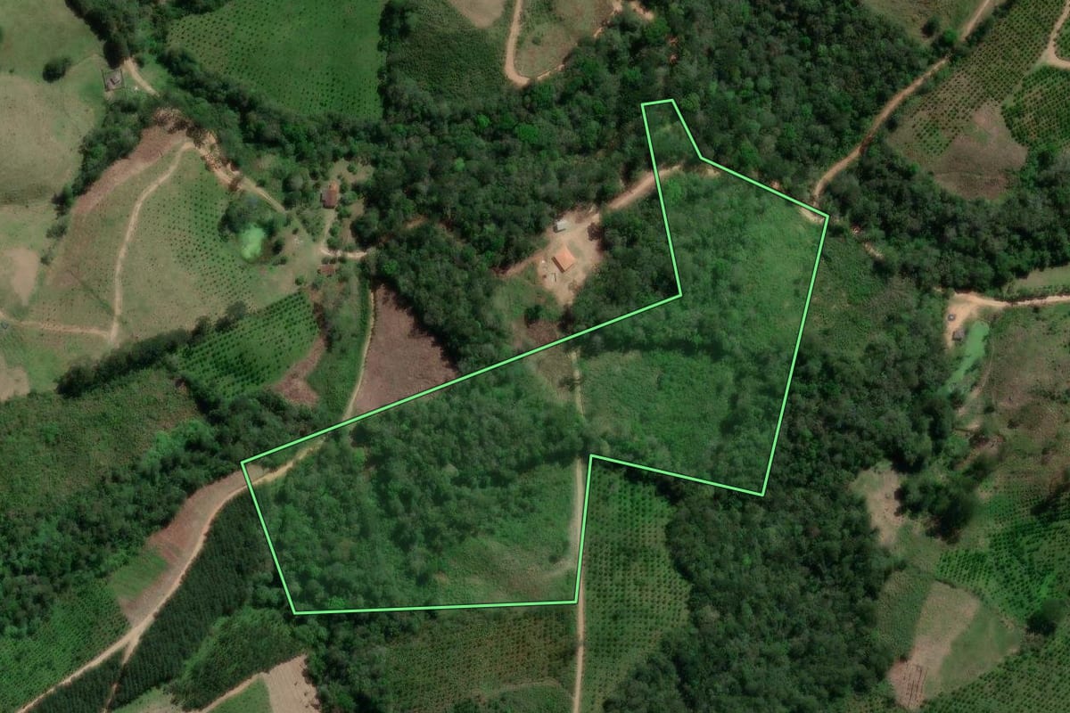 Imagem de satélite do imóvel rural em Doutor Ulysses (PR), com o contorno declarado no CAR desenhado por cima.