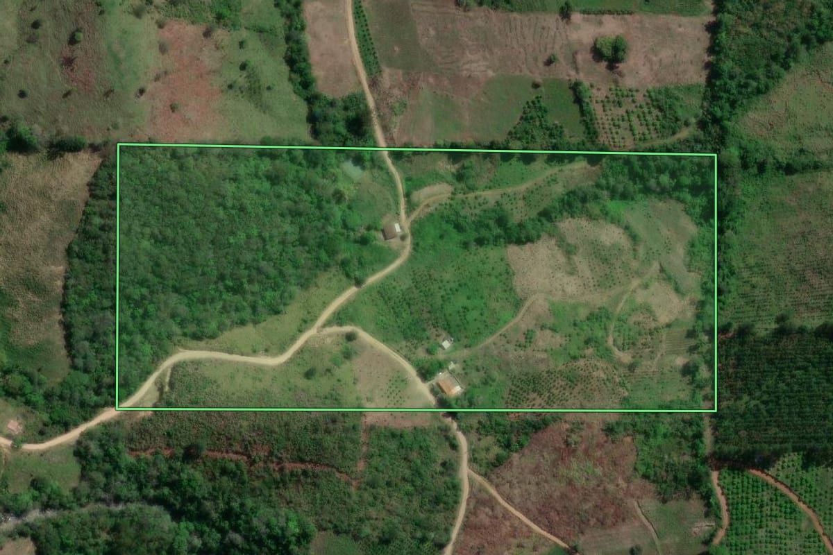 Imagem de satélite do imóvel rural em Doutor Ulysses (PR), com o contorno declarado no CAR desenhado por cima.