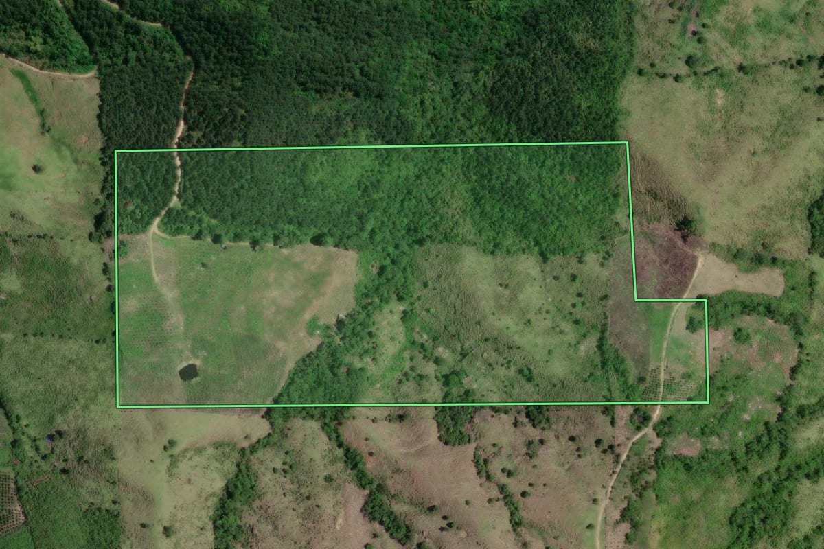 Imagem de satélite do imóvel rural em Doutor Ulysses (PR), com o contorno declarado no CAR desenhado por cima.