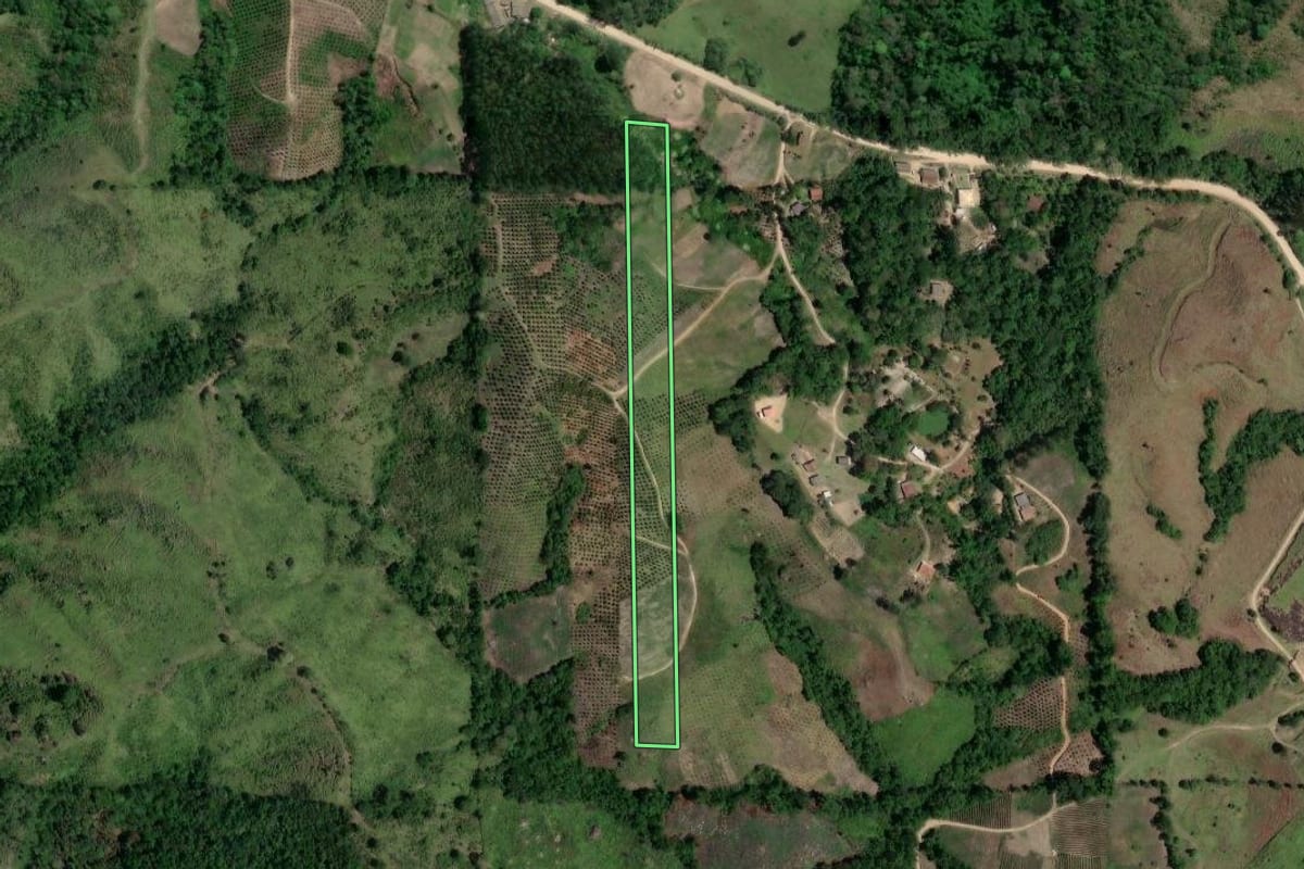 Imagem de satélite do imóvel rural em Doutor Ulysses (PR), com o contorno declarado no CAR desenhado por cima.