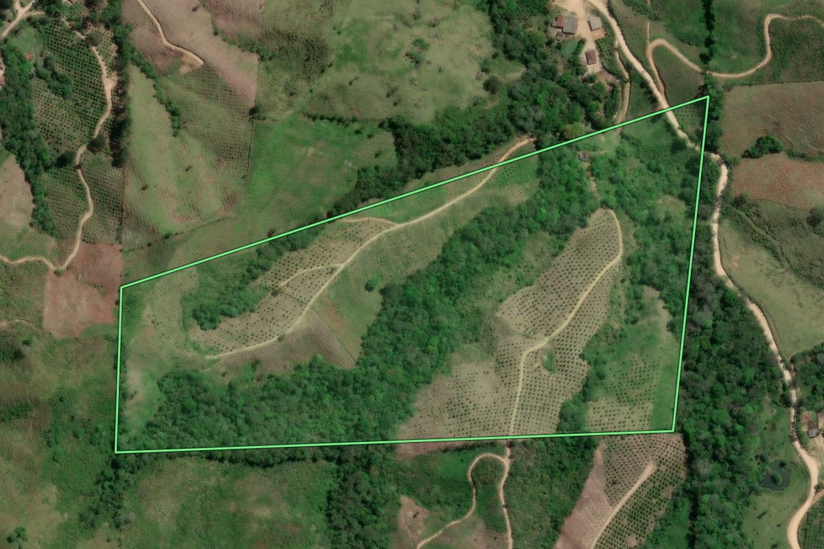 Imagem de satélite do imóvel rural em Doutor Ulysses (PR), com o contorno declarado no CAR desenhado por cima.