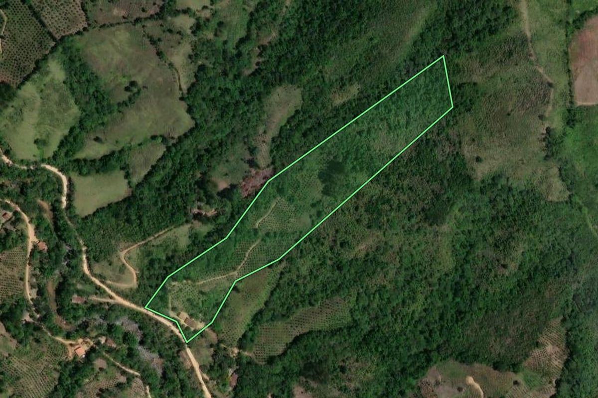 Imagem de satélite do imóvel rural em Doutor Ulysses (PR), com o contorno declarado no CAR desenhado por cima.