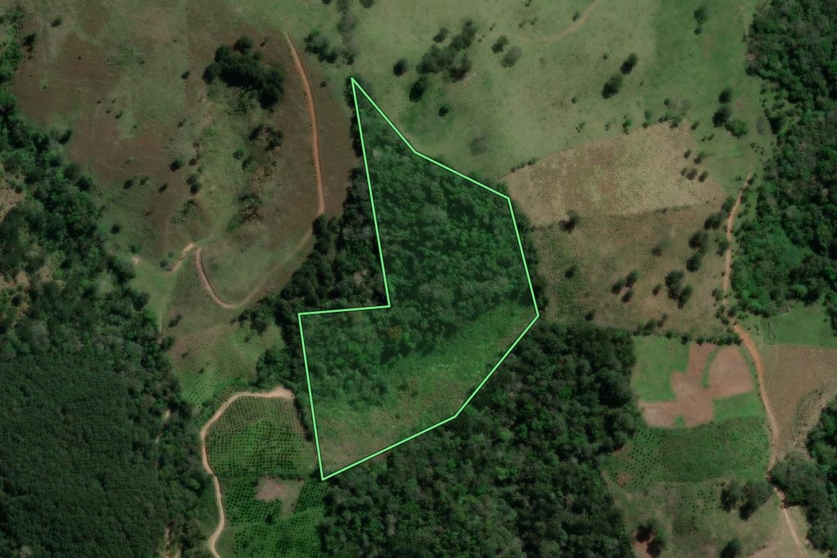 Imagem de satélite do imóvel rural em Doutor Ulysses (PR), com o contorno declarado no CAR desenhado por cima.