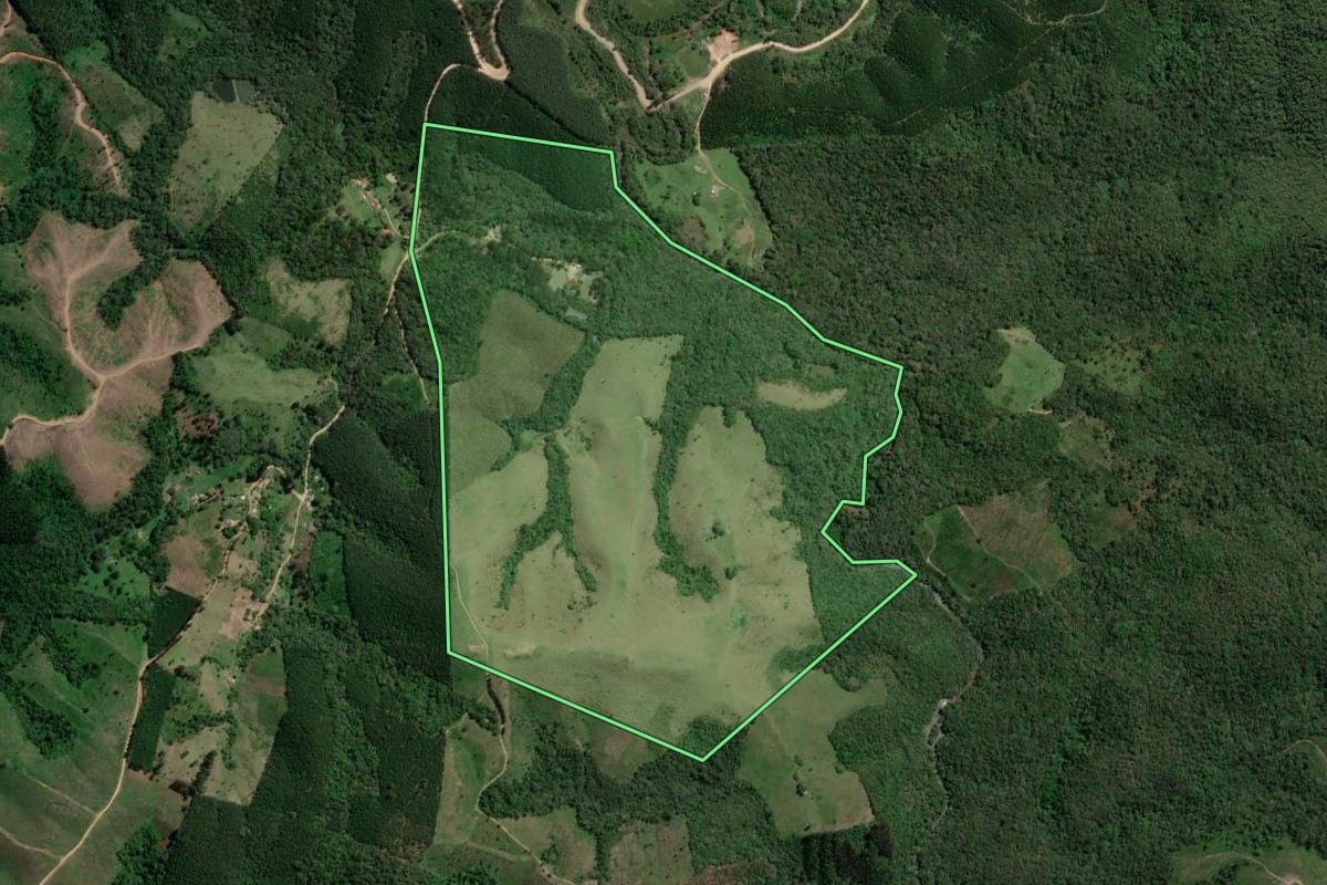 Imagem de satélite do imóvel rural em Doutor Ulysses (PR), com o contorno declarado no CAR desenhado por cima.