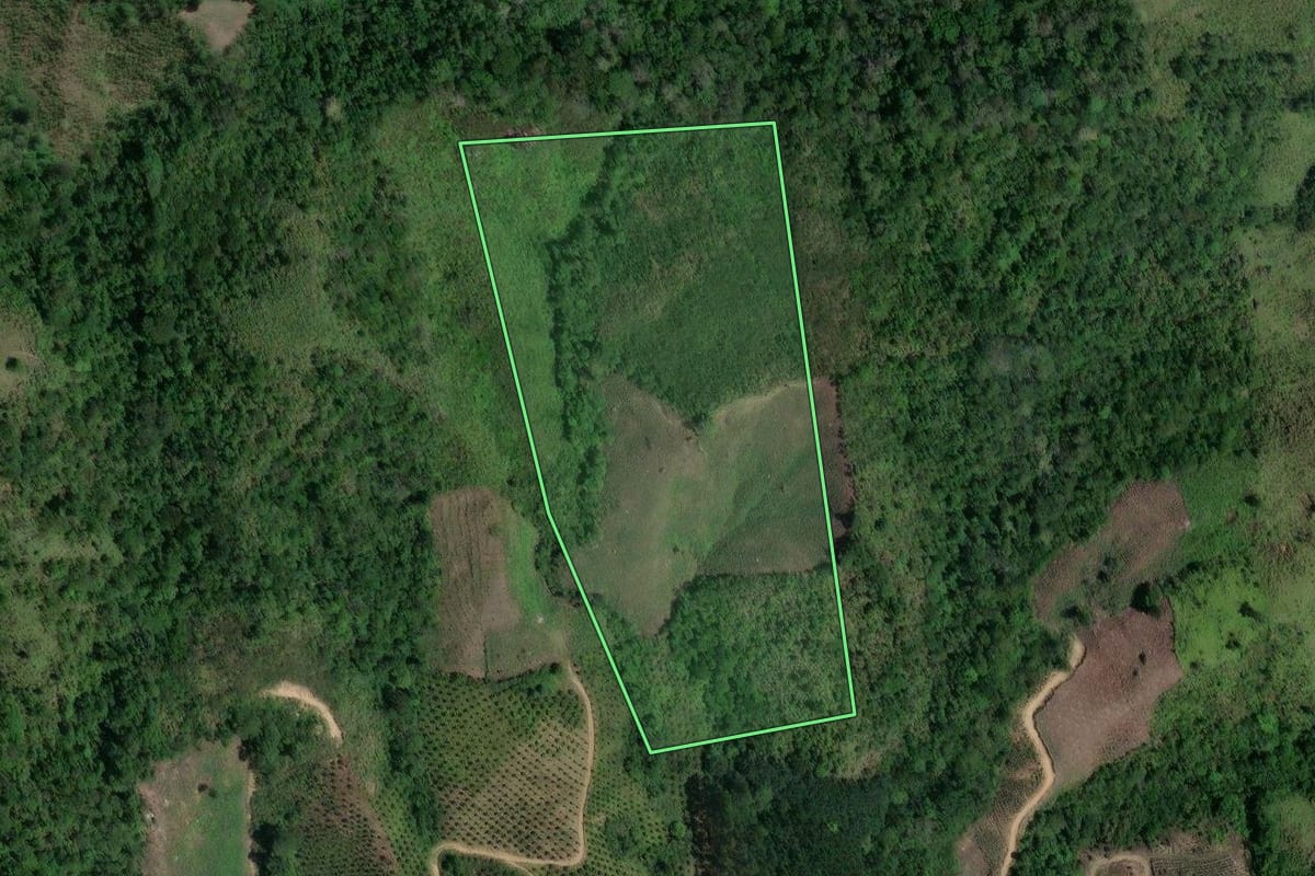 Imagem de satélite do imóvel rural em Doutor Ulysses (PR), com o contorno declarado no CAR desenhado por cima.