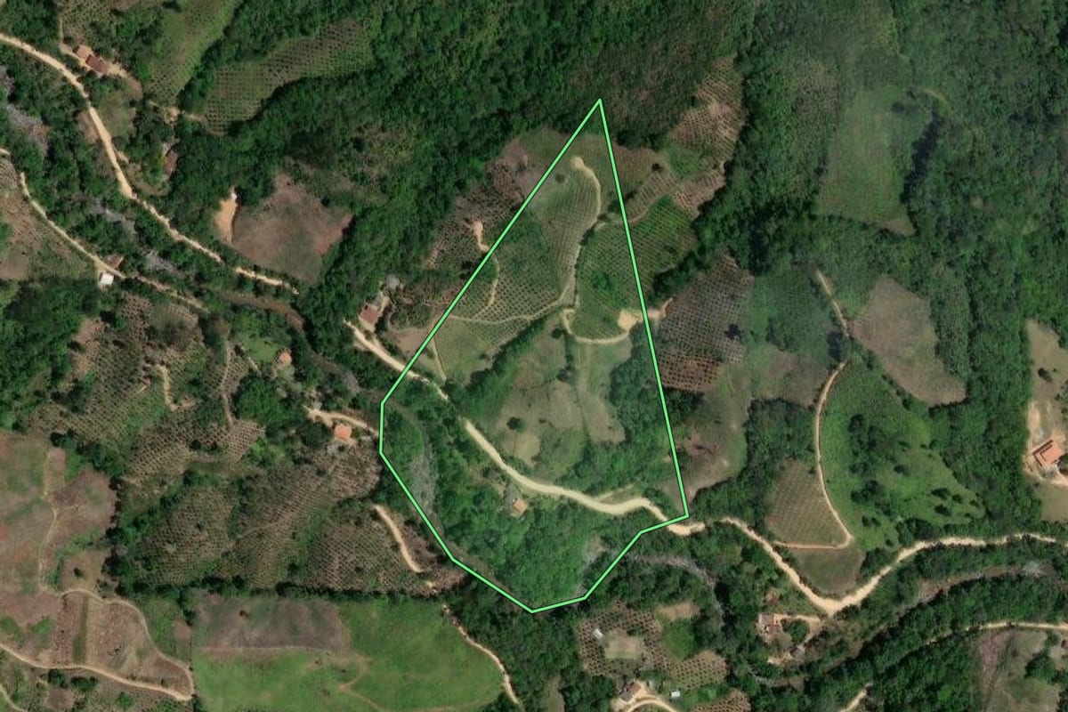 Imagem de satélite do imóvel rural em Doutor Ulysses (PR), com o contorno declarado no CAR desenhado por cima.
