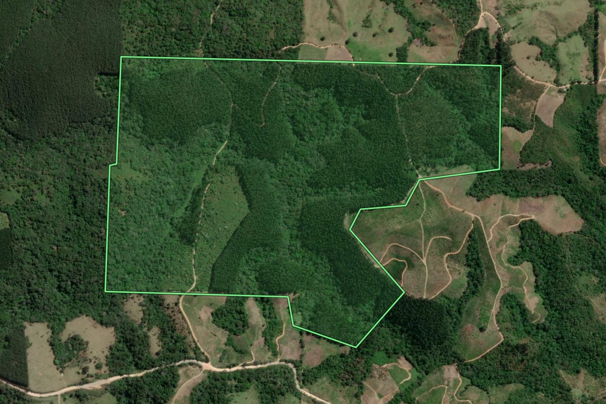 Imagem de satélite do imóvel rural em Doutor Ulysses (PR), com o contorno declarado no CAR desenhado por cima.