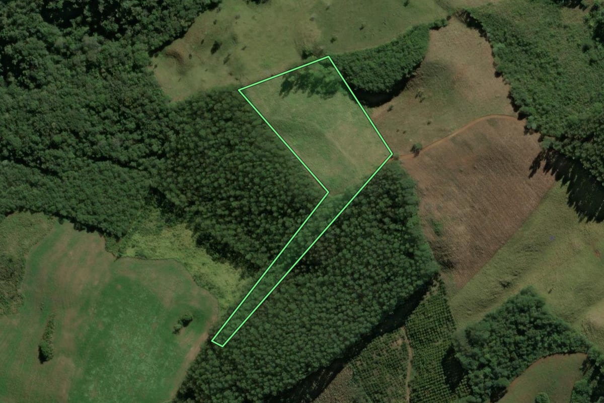 Imagem de satélite do imóvel rural em Doutor Ulysses (PR), com o contorno declarado no CAR desenhado por cima.