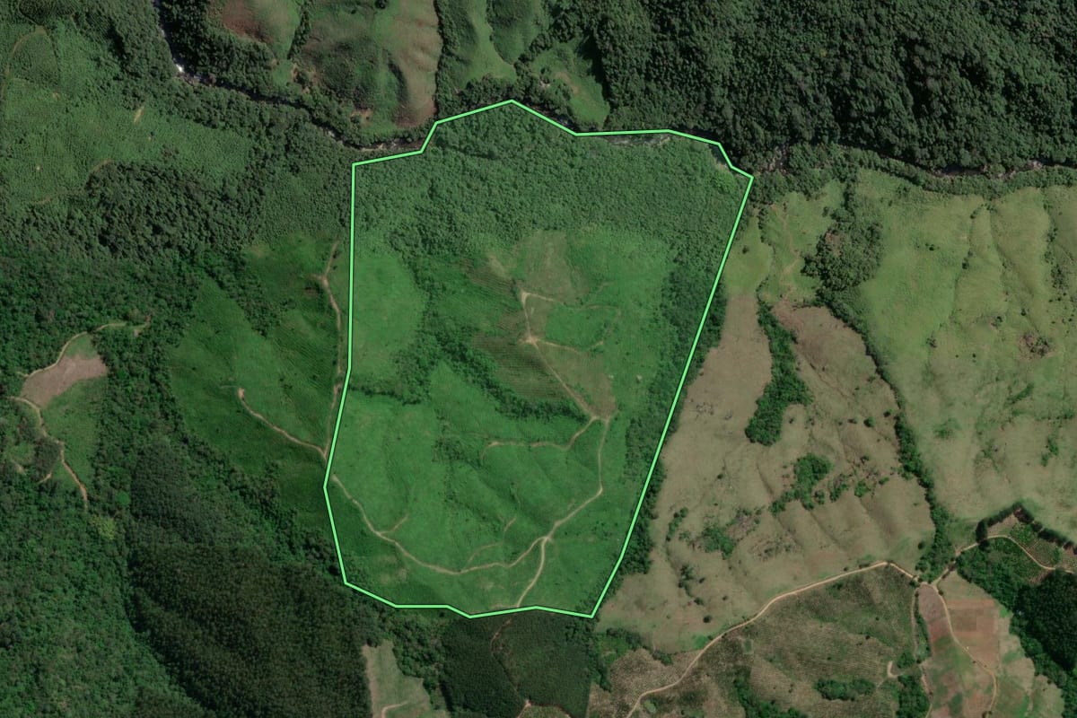 Imagem de satélite do imóvel rural em Doutor Ulysses (PR), com o contorno declarado no CAR desenhado por cima.