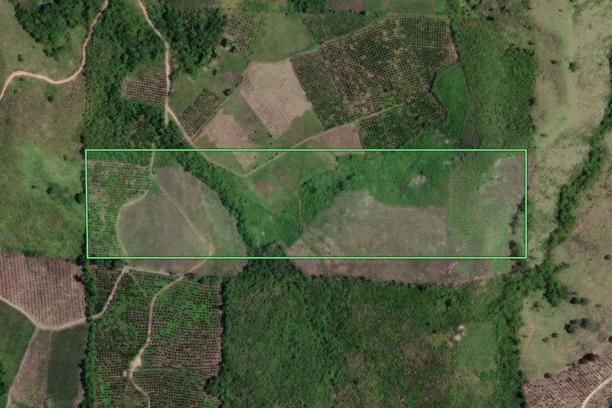 Imagem de satélite do imóvel rural em Doutor Ulysses (PR), com o contorno declarado no CAR desenhado por cima.