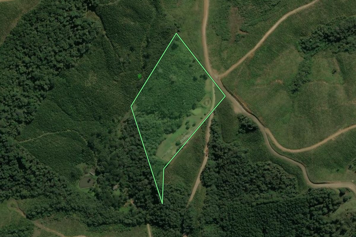 Imagem de satélite do imóvel rural em Doutor Ulysses (PR), com o contorno declarado no CAR desenhado por cima.
