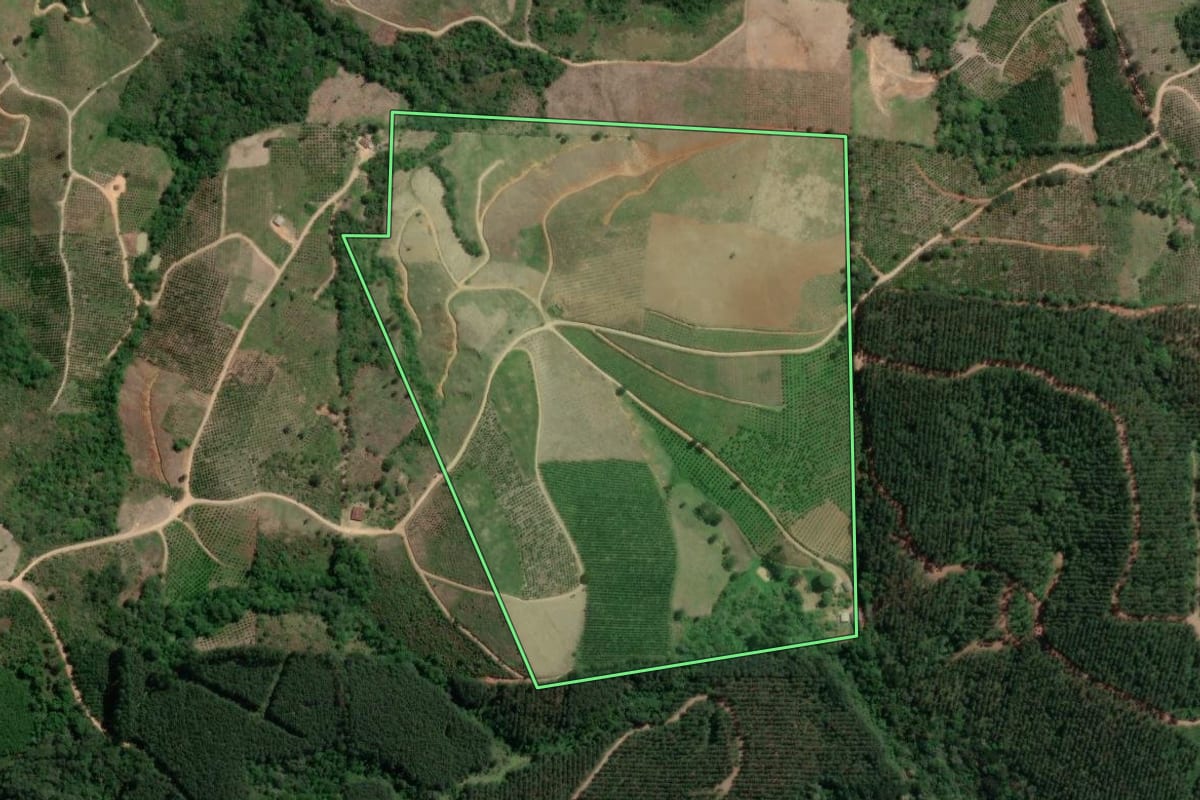 Imagem de satélite do imóvel rural em Doutor Ulysses (PR), com o contorno declarado no CAR desenhado por cima.