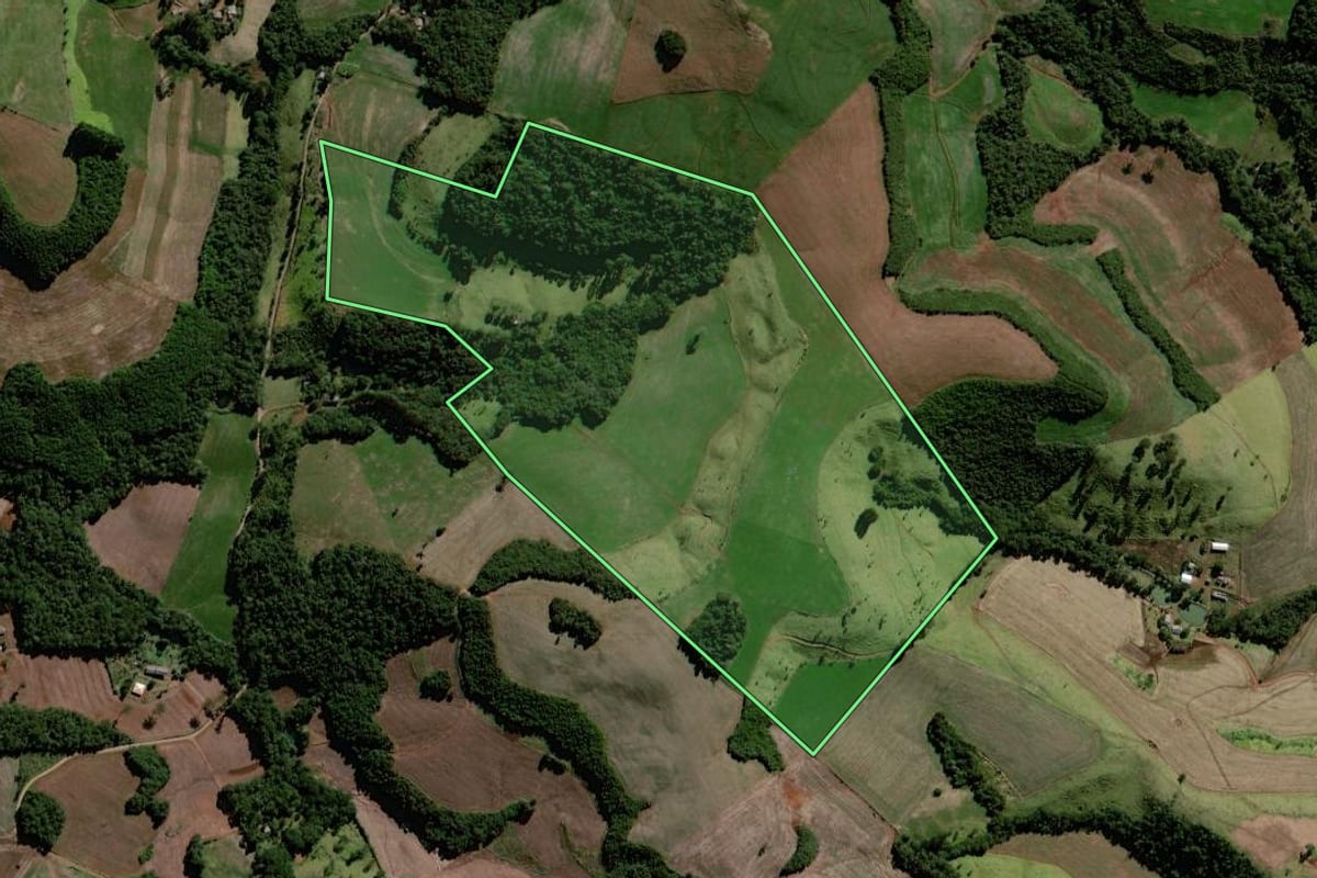 Imagem de satélite do imóvel rural em Virmond (PR), com o contorno declarado no CAR desenhado por cima.