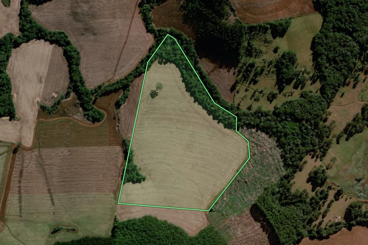 Imagem de satélite do imóvel rural em Virmond (PR), com o contorno declarado no CAR desenhado por cima.