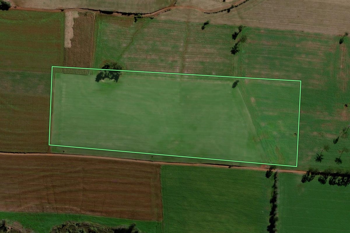 Imagem de satélite do imóvel rural em Virmond (PR), com o contorno declarado no CAR desenhado por cima.