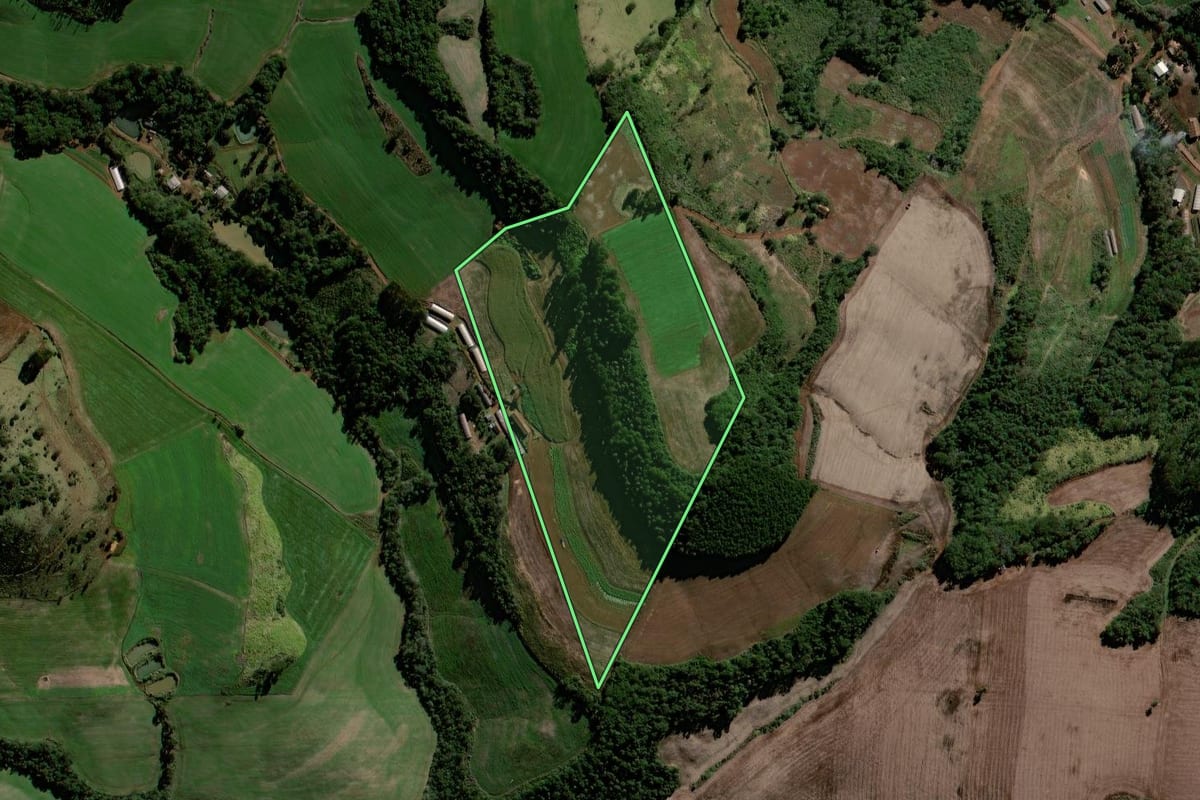 Imagem de satélite do imóvel rural em Virmond (PR), com o contorno declarado no CAR desenhado por cima.