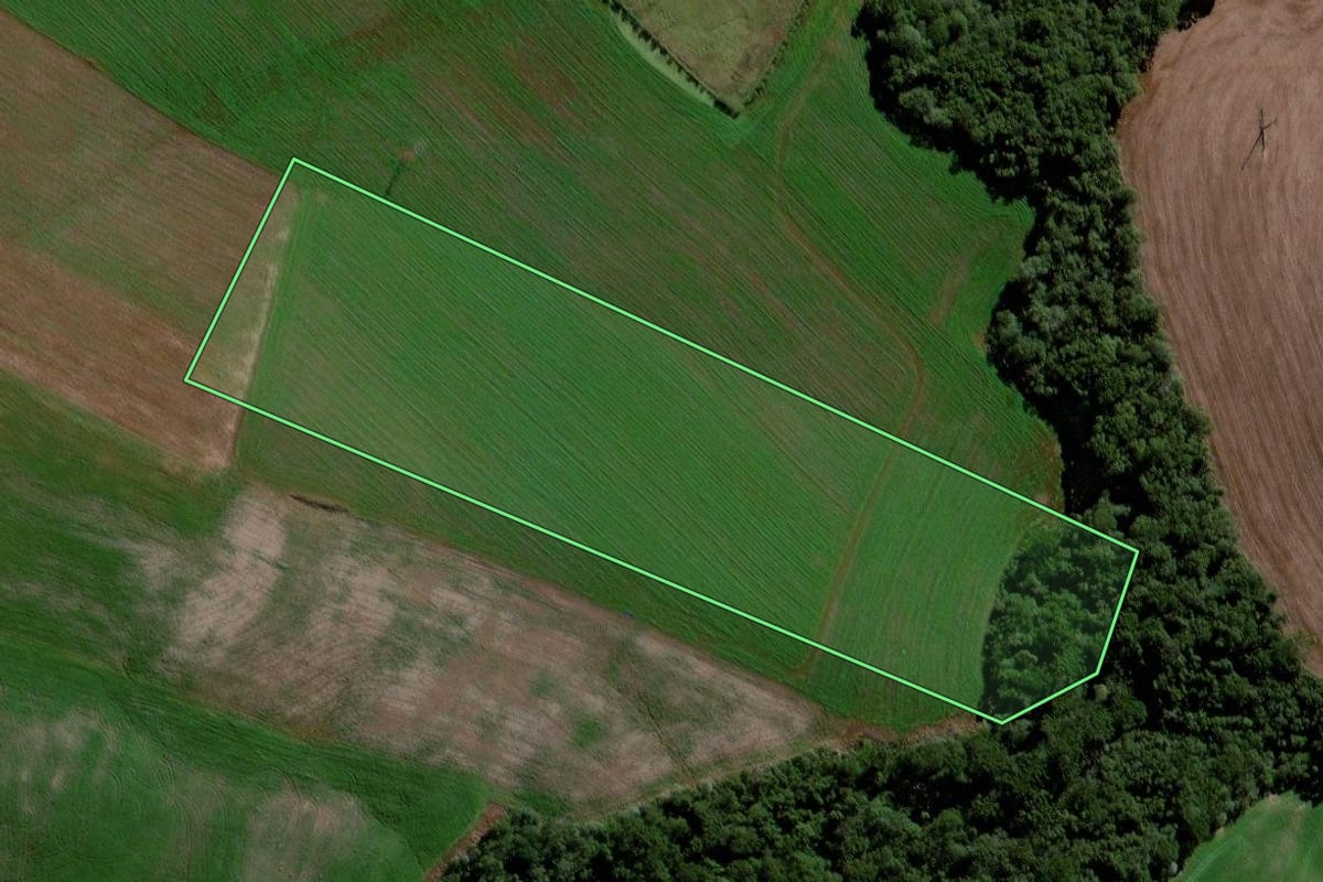 Imagem de satélite do imóvel rural em Virmond (PR), com o contorno declarado no CAR desenhado por cima.