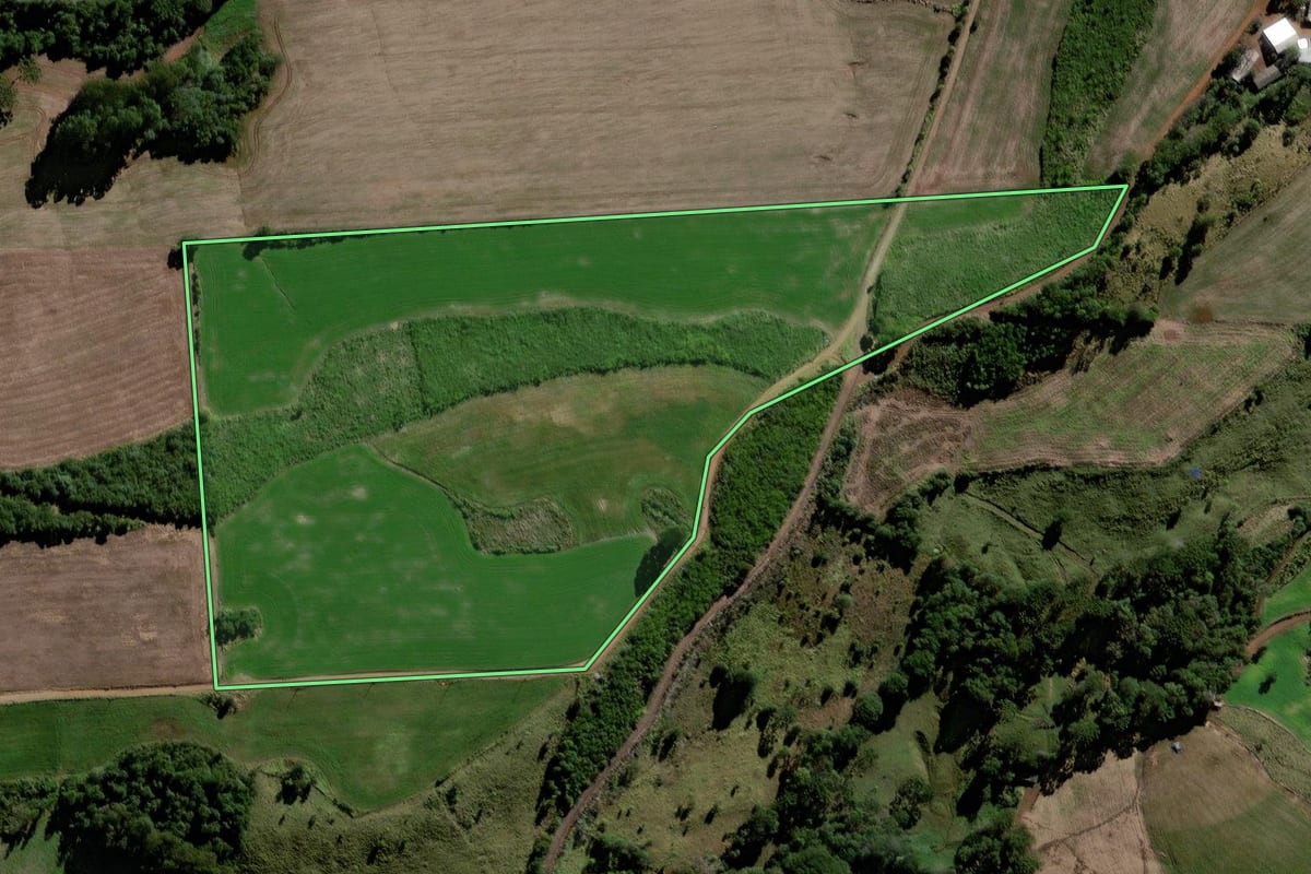 Imagem de satélite do imóvel rural em Virmond (PR), com o contorno declarado no CAR desenhado por cima.