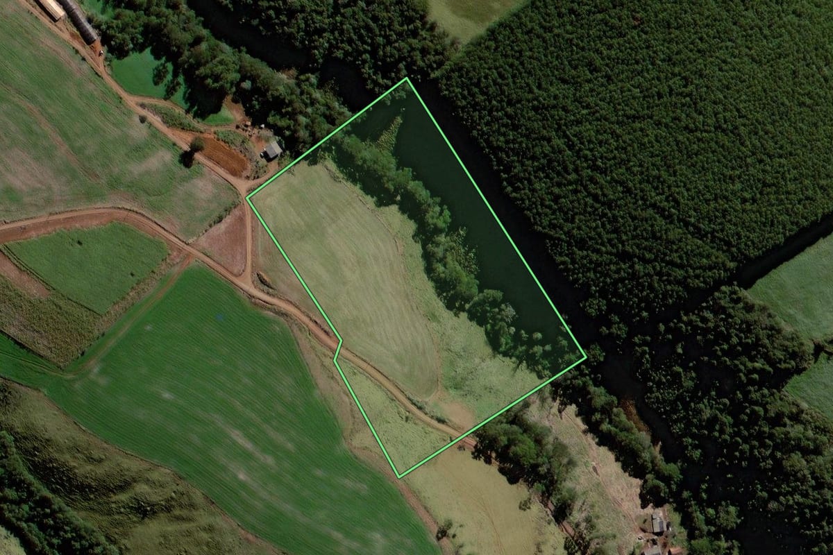 Imagem de satélite do imóvel rural em Virmond (PR), com o contorno declarado no CAR desenhado por cima.