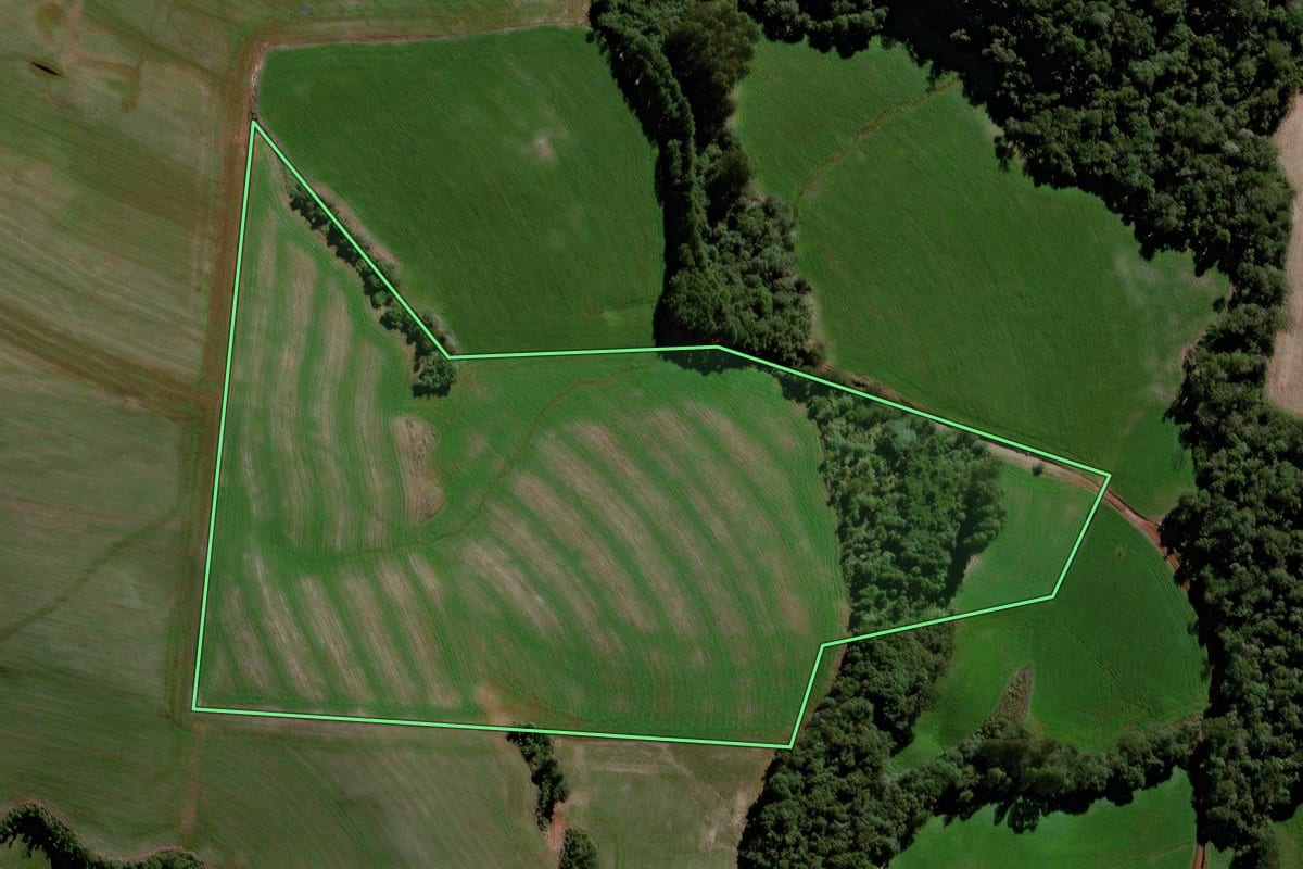 Imagem de satélite do imóvel rural em Virmond (PR), com o contorno declarado no CAR desenhado por cima.