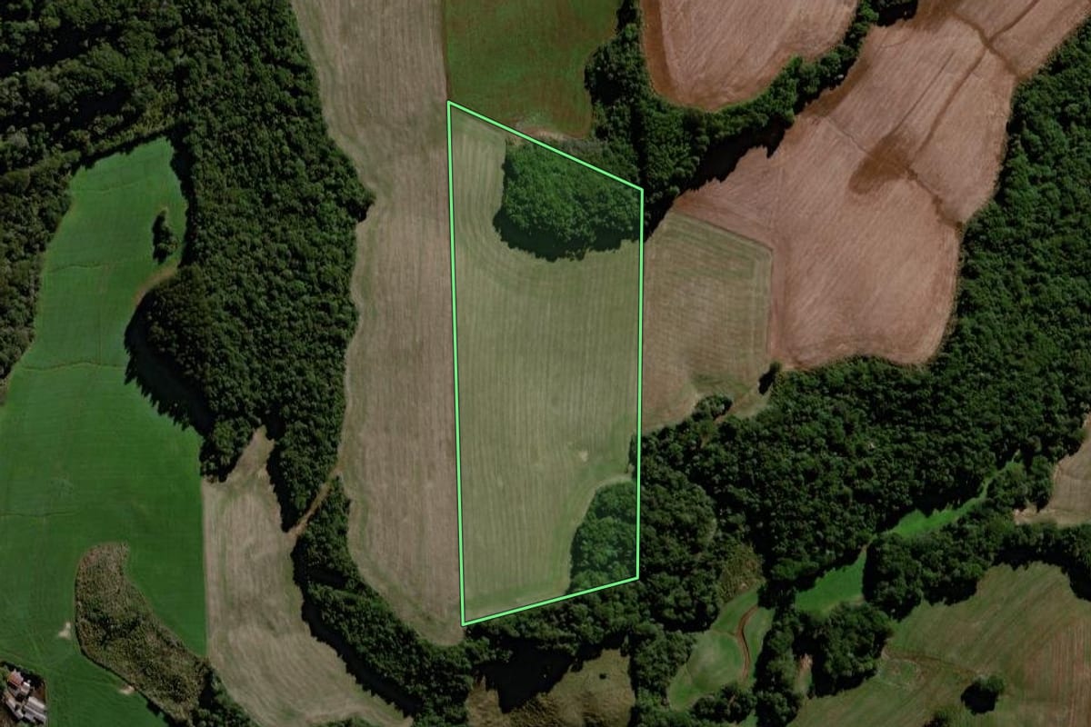 Imagem de satélite do imóvel rural em Virmond (PR), com o contorno declarado no CAR desenhado por cima.