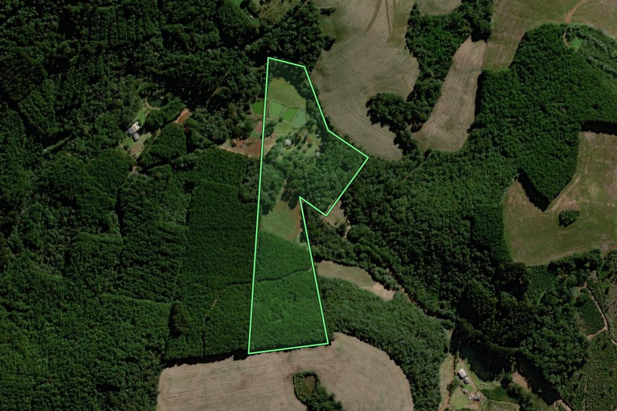 Imagem de satélite do imóvel rural em Virmond (PR), com o contorno declarado no CAR desenhado por cima.