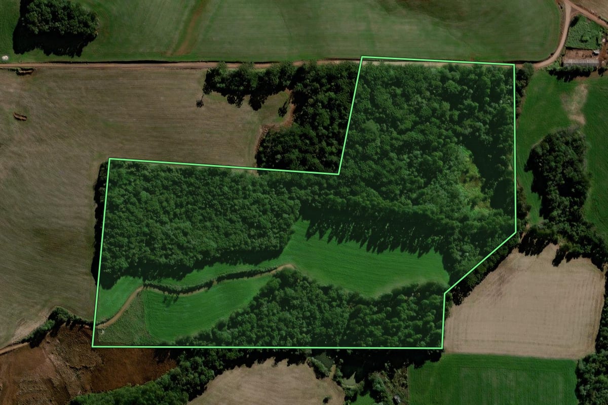 Imagem de satélite do imóvel rural em Virmond (PR), com o contorno declarado no CAR desenhado por cima.