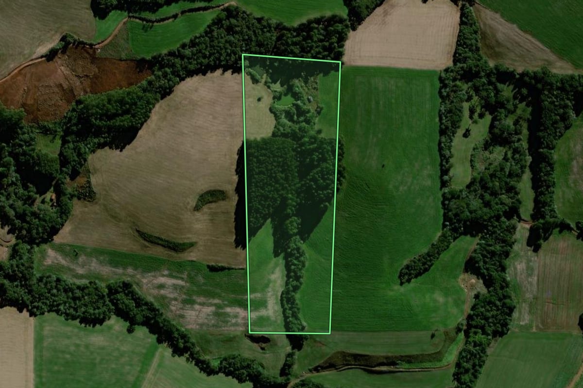 Imagem de satélite do imóvel rural em Virmond (PR), com o contorno declarado no CAR desenhado por cima.