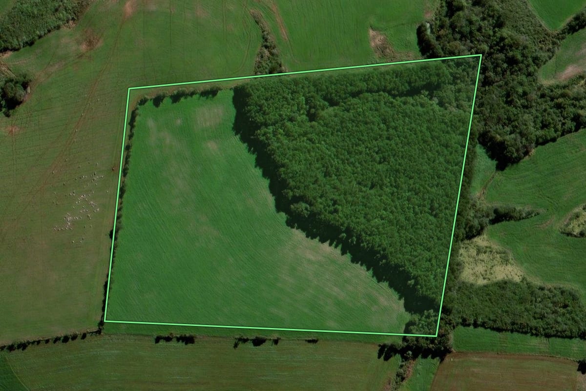 Imagem de satélite do imóvel rural em Virmond (PR), com o contorno declarado no CAR desenhado por cima.
