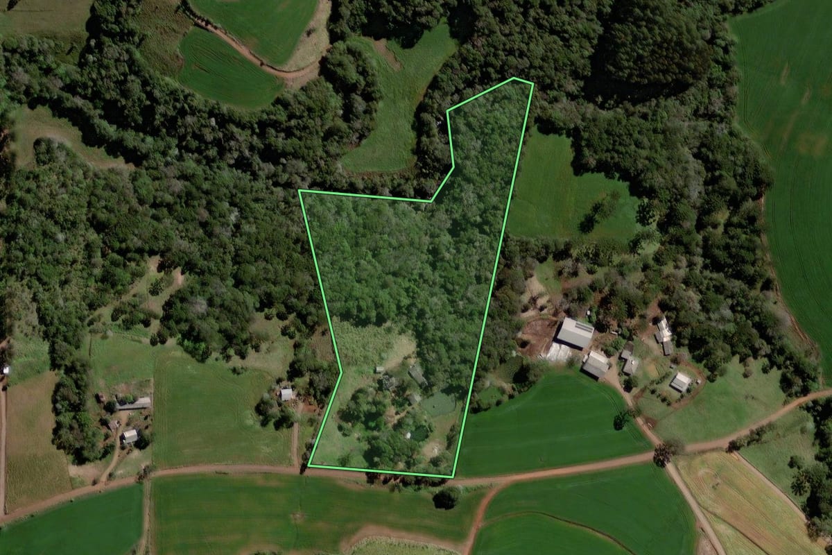 Imagem de satélite do imóvel rural em Vitorino (PR), com o contorno declarado no CAR desenhado por cima.